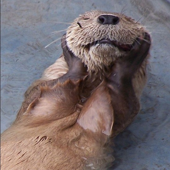 Meet your Posher, Lisa - Picture 4 of 5